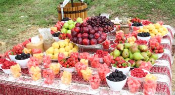 Օրվա լուսանկար