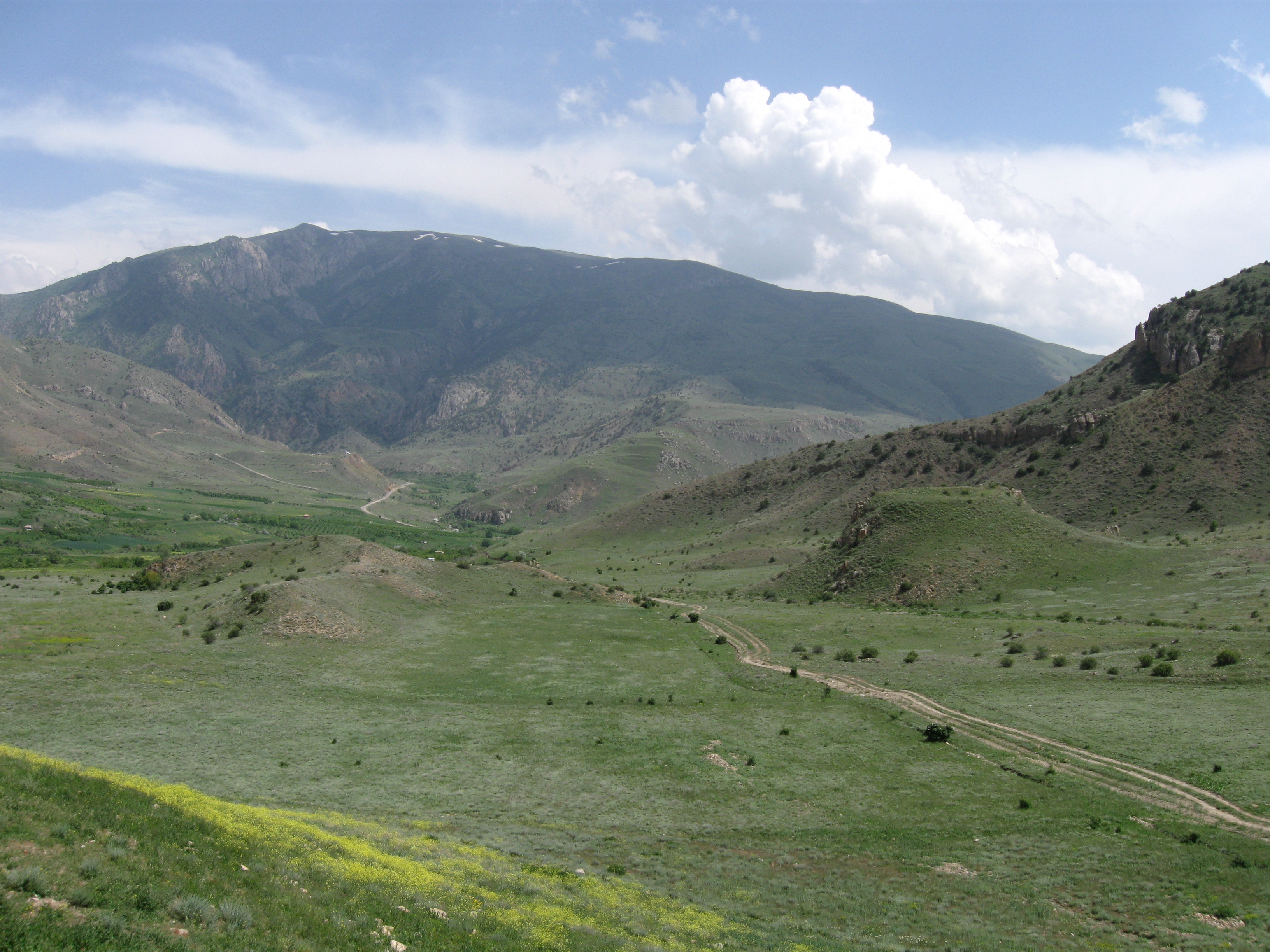 «Խոսրովի անտառ» արգելոցի հարակից տարածքում հրդեհ է. տեսանյութ