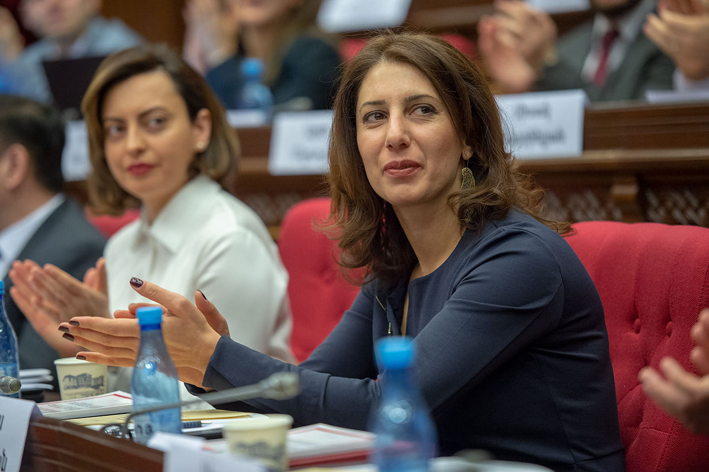 «Խուճապի վերջը տվե՛ք. եթե դատվել, ապա ստորագրության պատճառով թող լինի». Սոֆյա Հովսեփյան