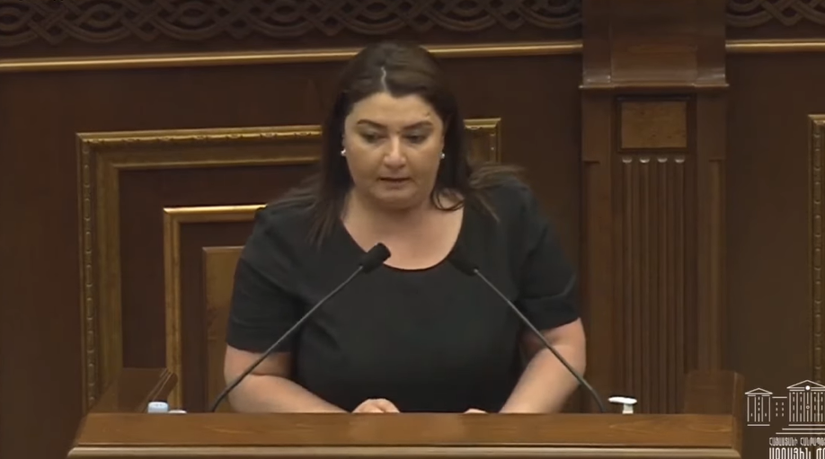 Եթե Ծառուկյանին ազատությունից զրկեն, տասնյակ հազարավոր մարդիկ կարող են կորցնել աշխատանքը․ Տոնոյան (տեսանյութ) | Ազատություն