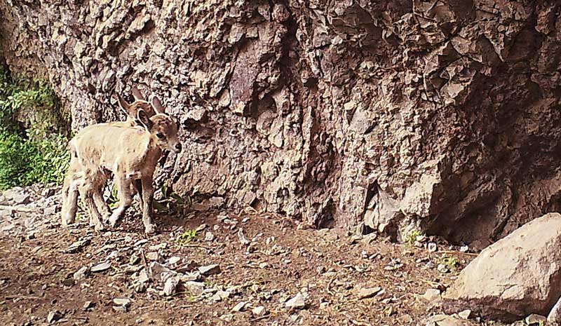 Որսի սիրահարներին հորդորում եմ դրսևորել գիտակից վարք. Ռոմանոս Պետրոսյան