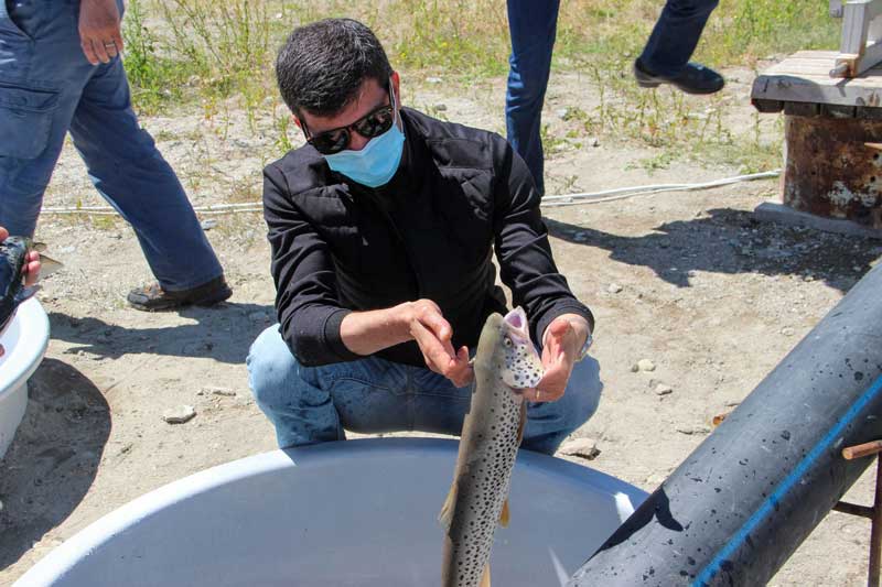 Սևանում առաջին անգամ գործարկվել է իշխանի ավտոմատ տեսակավորման սարքավորումը