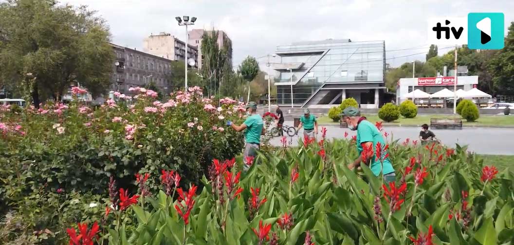 Թիվ 1 դիտարկում | «Կանաչապատում և շրջակա միջավայրի պահպանություն» ՀՈԱԿ-ի գործունեությունը