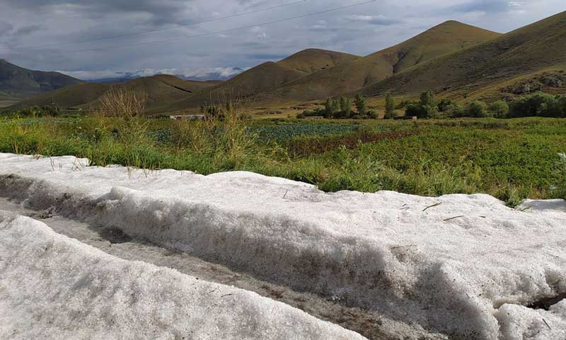 «Լոռու մարզի Ջրաշեն գյուղում տեղացած կարկուտը». Գ. Սուրենյան