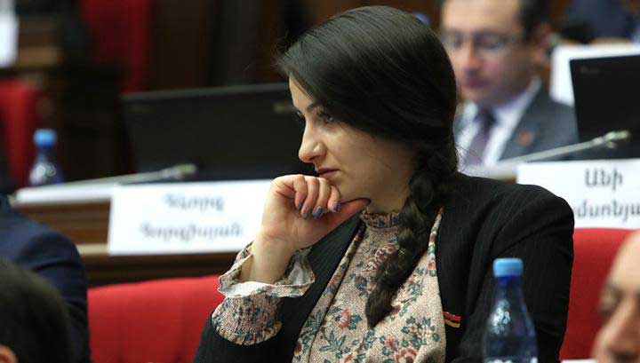 «Պատկերացրեք՝ քանի ծառ է հատվել, որ հերթական օբյեկտը կառուցվի». Աննա Կոստանյան