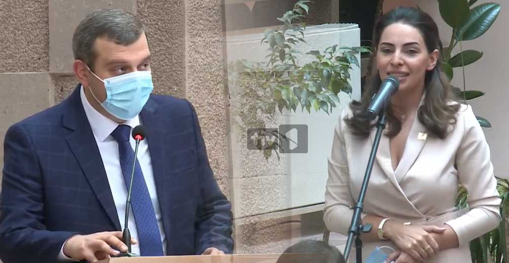 Քանի՞ տոկոսով եք պատրաստ իրականացնել աշխատանքը․ Թեհմինա Վարդանյան