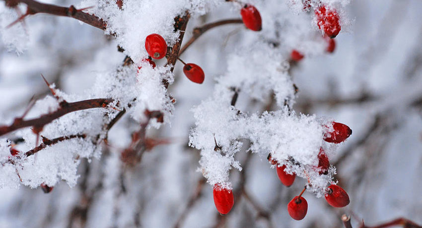 Ջերմաստիճանը կնվազի ևս 2-3 աստիճանով