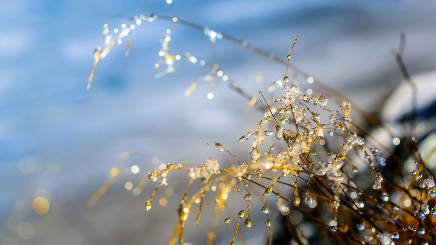 Հունվարի 26-28-ը հանրապետության ողջ տարածքում օդի ջերմաստիճանը կբարձրանա գիշերը 13-15, ցերեկը` 5-7 աստիճանով