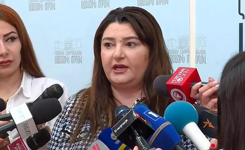 Նախընտրական հիմնադրույթները առաջարկում է հենց պարոն Ծառուկյանը․ Իվետա Տոնոյան