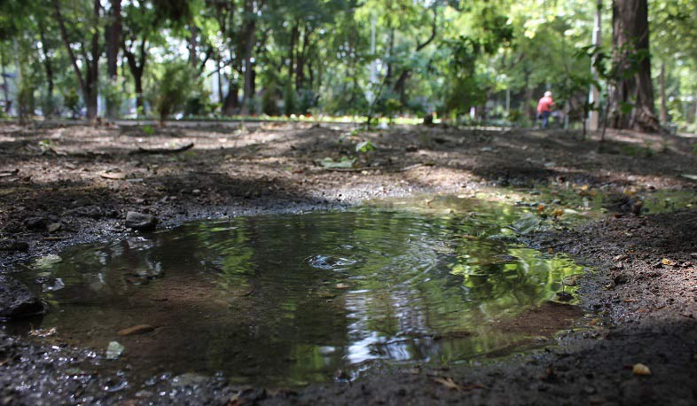 Սարյանի պուրակի ոռոգման համակարգը վնասել են