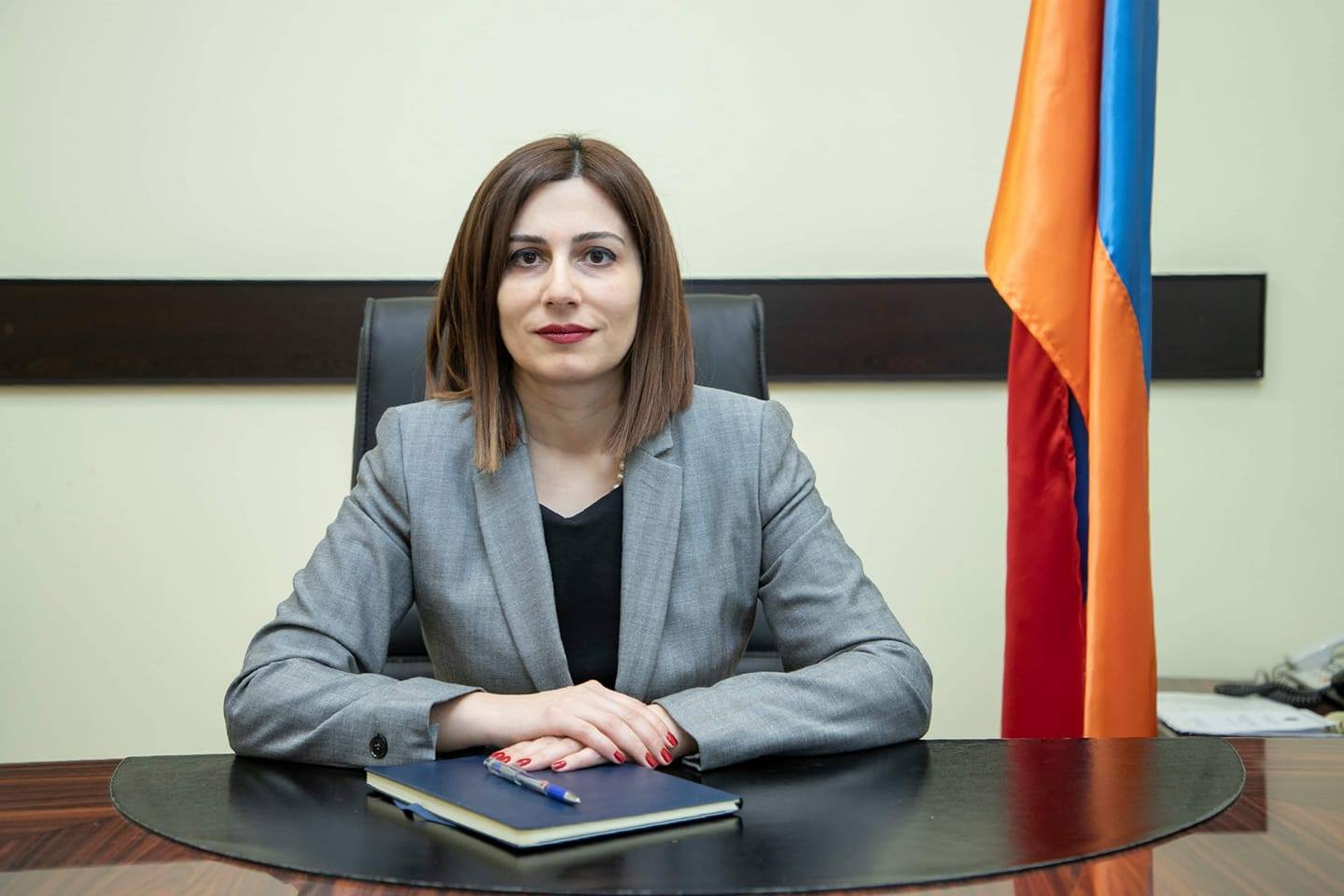 Քաղցկեղի ռեգիստրը միակը չէ, որը կներդրվի առողջապահական համակարգում. Ավանեսյան