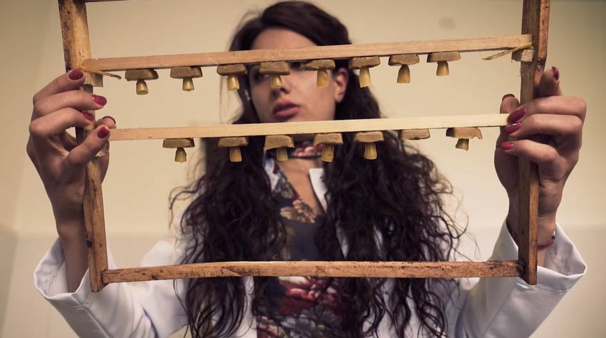 Մեղուներից շատ բան ունենք սովորելու. BeeLife-ի հիմնադիր