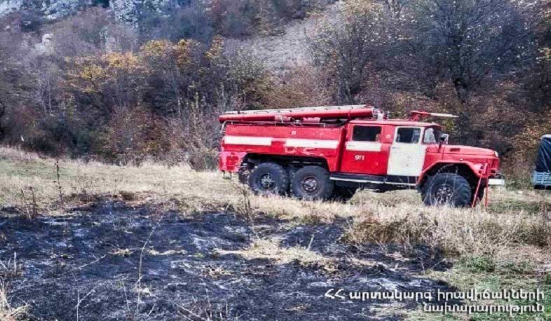 Հրդեհ Երևանի Բուսաբանական այգում