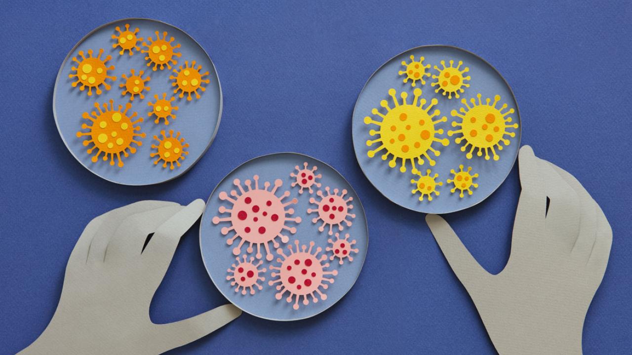 Հայաստանի Հանրապետությունում շրջանառվում է «Դելտա» շտամը