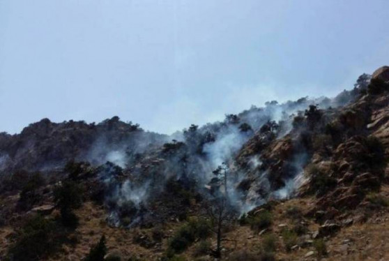 Հրդեհ «Արևիկ» ազգային պարկի տարածքում