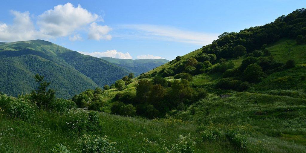 Ապօրինի անտառահատումների գործով մեղադրանք է առաջադրվել պաշտոնատար 9 անձանց