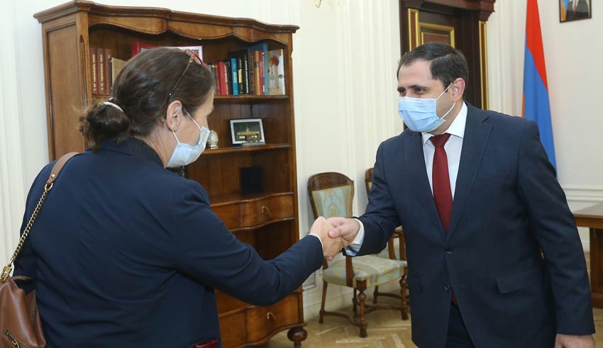 Սուրեն Պապիկյանը հանդիպել էՎԶԵԲ տարածաշրջանային տնօրենին