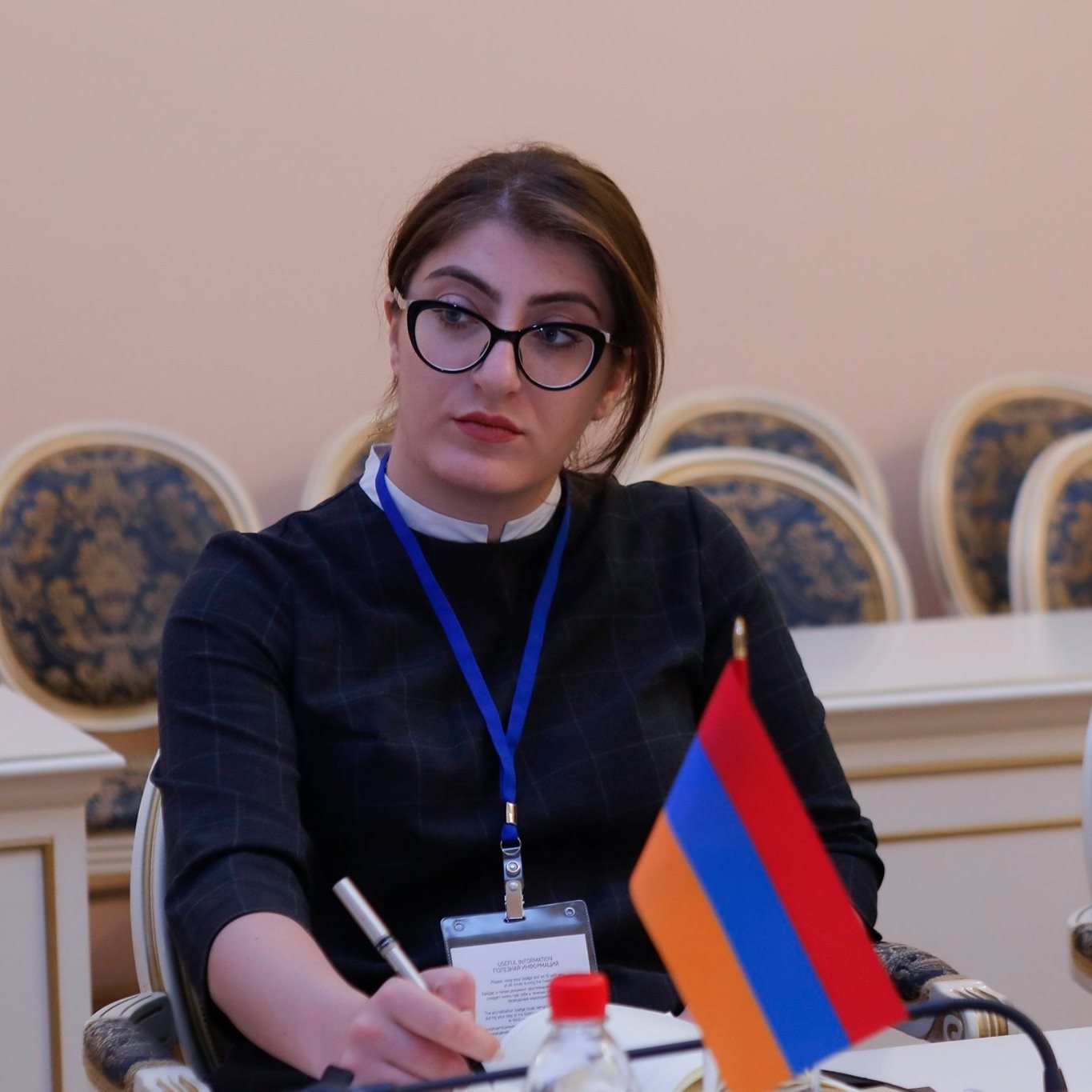 Դադարեցրեք հանրությունը պառակտող կոչերը. Լիլի Մինասյան