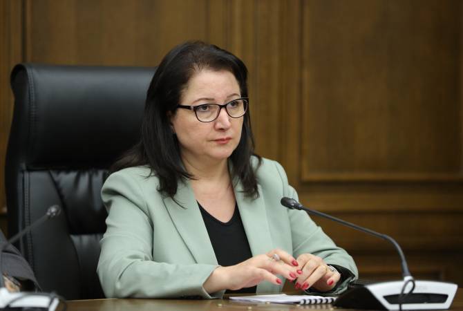 ՍԴ դիմելու փաստը հիմք չէ, որ խոշորացման գործընթացը չշարունակվի. Տիգրանյան