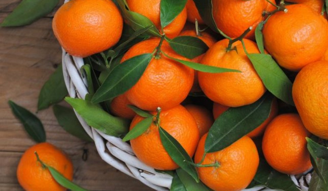 Վրաստանից մանդարինի 80 տոկոսը Հայաստան է արտահանվել