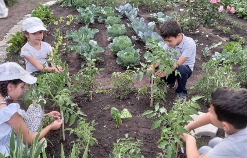 Ամփոփվել է «Հայաստանի լավագույն դպրոցական մինի այգի» մրցույթը