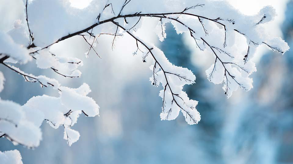 Օդի ջերմաստիճանը կնվազի
