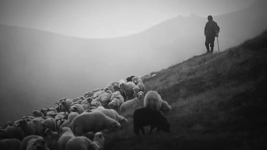 Ադրբեջանը ռուս խաղաղապահներին է փոխանցել հայ հովվին