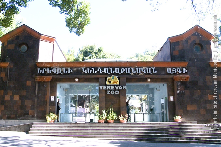 Կենդանաբանական այգու յագուարը սատկել է