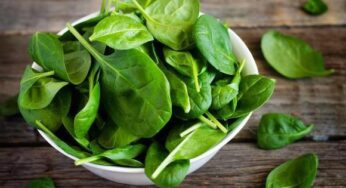 Գիտե՞ք, որ սպանախը բանջարեղեն է այլ ոչ թէ խոտ