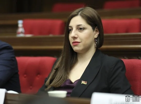 Որևէ մեկը չպետք է շփոթի ժողովրդավարությունն ու ազատությունները ամենաթողության և անպատժելիության հետ. պատգամավոր