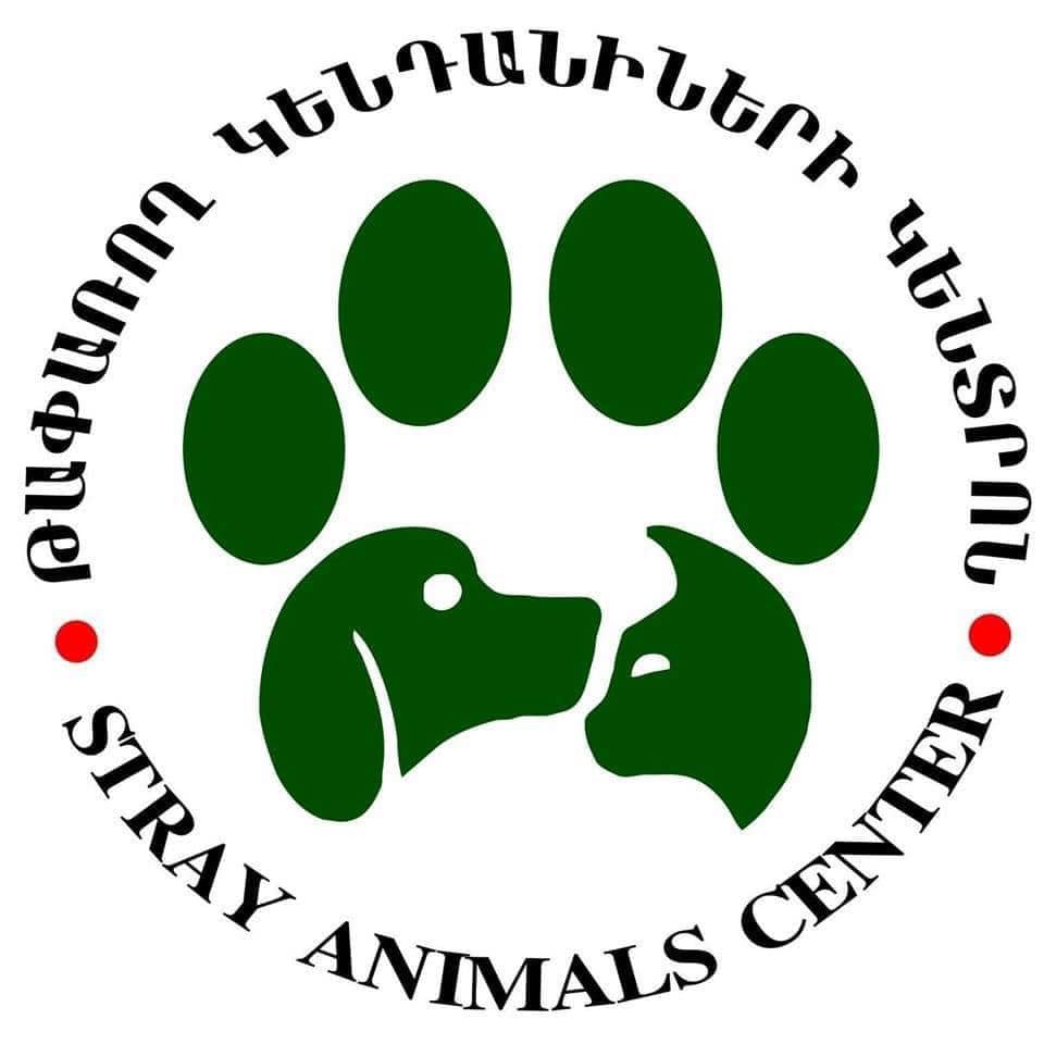 Երևանում թափառող շների մասսայական քնեցման վերաբերյալ լուրերը չեն համապատասպանում իրականությանը