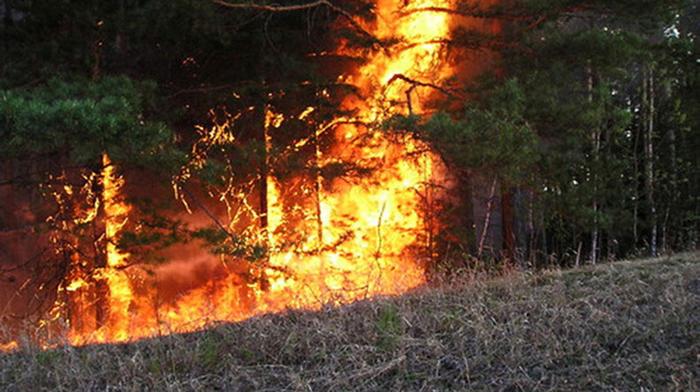 Երևանի բուսաբանական այգում այրվում է խոտածածկ տարածք