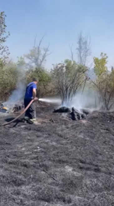 Մարվել է Երևանի բուսաբանական այգում բռնկված հրդեհը