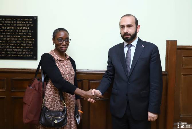 Ա․ Միրզոյանը հանդիպել է Միջազգային ճգնաժամային խմբի նախագահ Կ․ Էրոյի հետ
