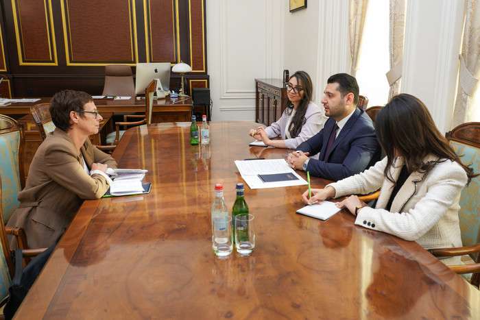 Մաթևոսյանն ընդունել է ՀՀ-ում Ֆրանսիայի դեսպանին