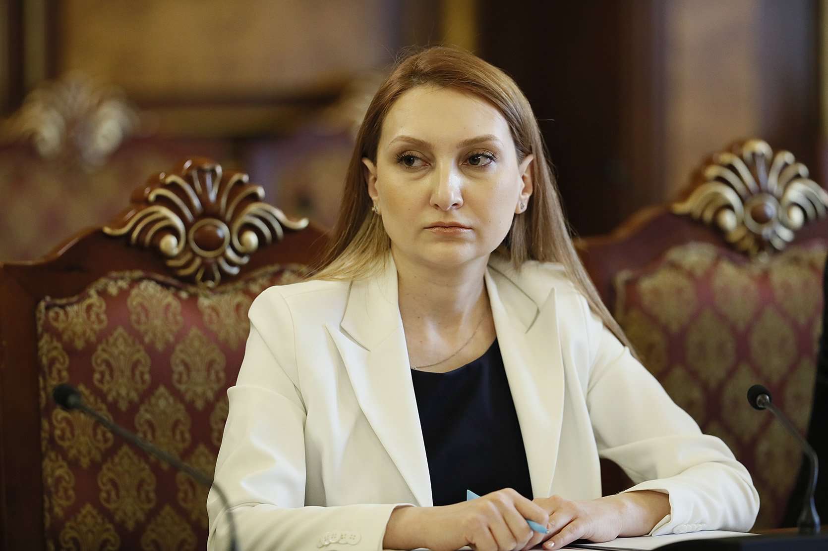 Մակունցը քննարկում է ունեցել Պետքարտուղարության շուրջ երկու տասնյակ մասնագետների հետ
