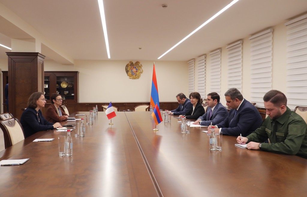 Ս․Պապիկյանն ընդունել է Ֆրանսիայի նախագահի գրասենյակի խորհրդականին