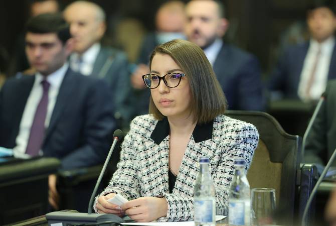 ԵՄ հատուկ ներկայացուցչից ադրբեջանցիների մասին տեսանյութեր եմ ստացել․Ք․ Գրիգորյան