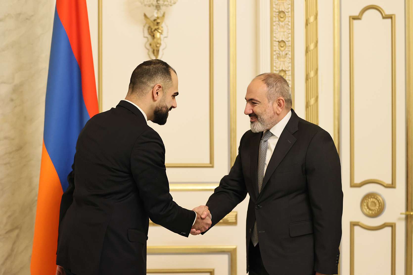 Վարչապետն ընդունել է Շվեդիայի խորհրդարանի հայազգի պատգամավոր Արին Կարապետին