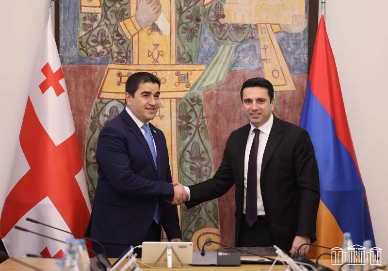 Ա․ Սիմոնյանը առանձնազրույց է ունեցել Վրաստանի խորհրդարանի նախագահի հետ
