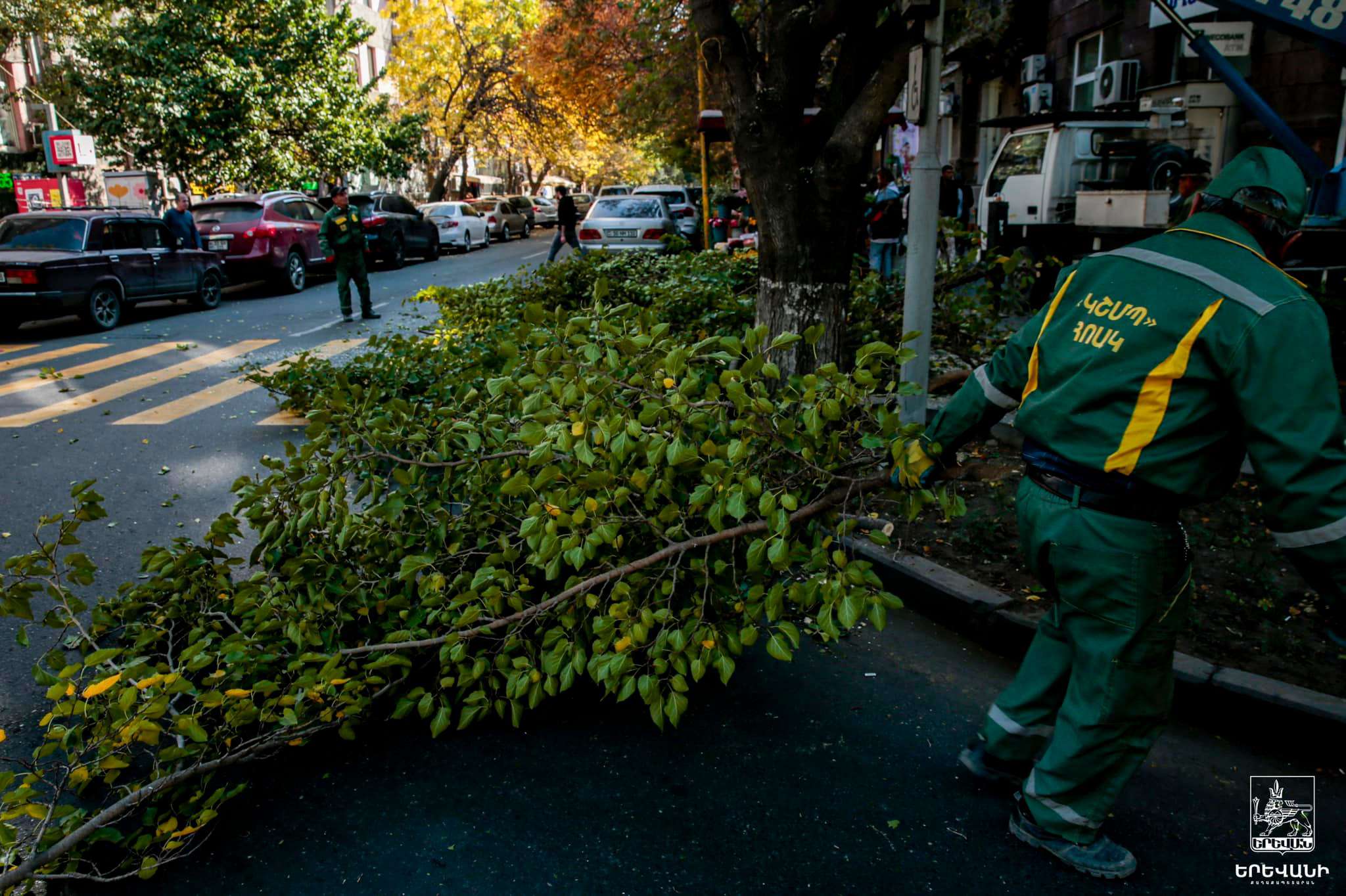 Մեկնարկել է գարնանային էտը