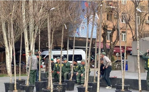 Կենտրոն վարչական շրջանում մեկնարկել է ծառատունկը