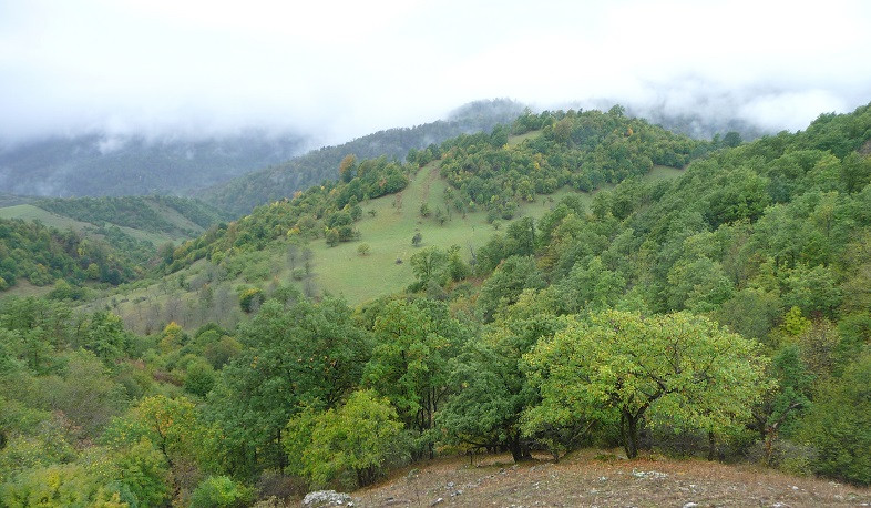 Ծավալուն փոփոխություններ օրենքում