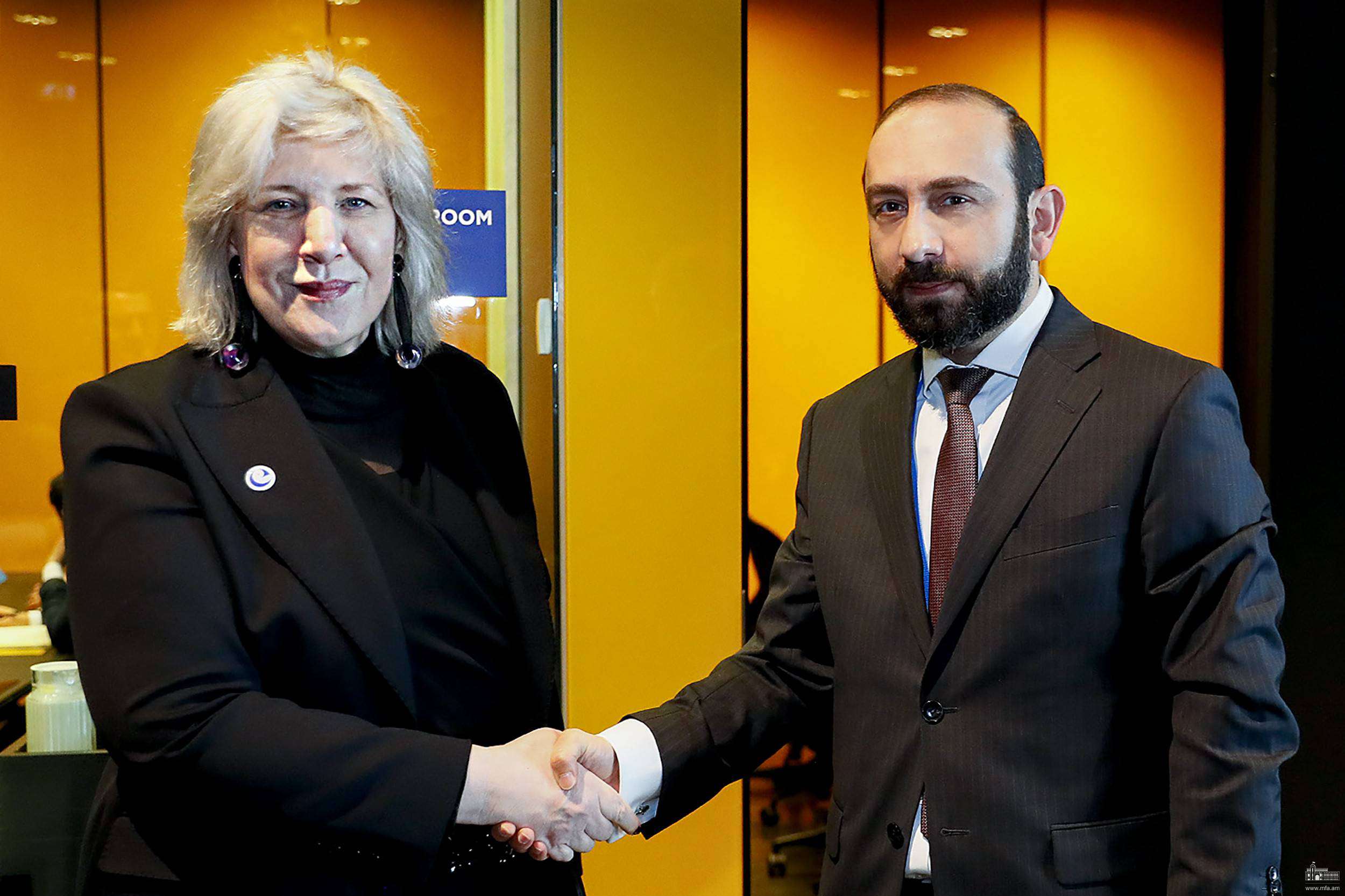 Միրզոյանը ԵԽ մարդու իրավունքների հանձնակատարի հետ քննարկել է ԼՂ-ում ստեղծված իրավիճակը