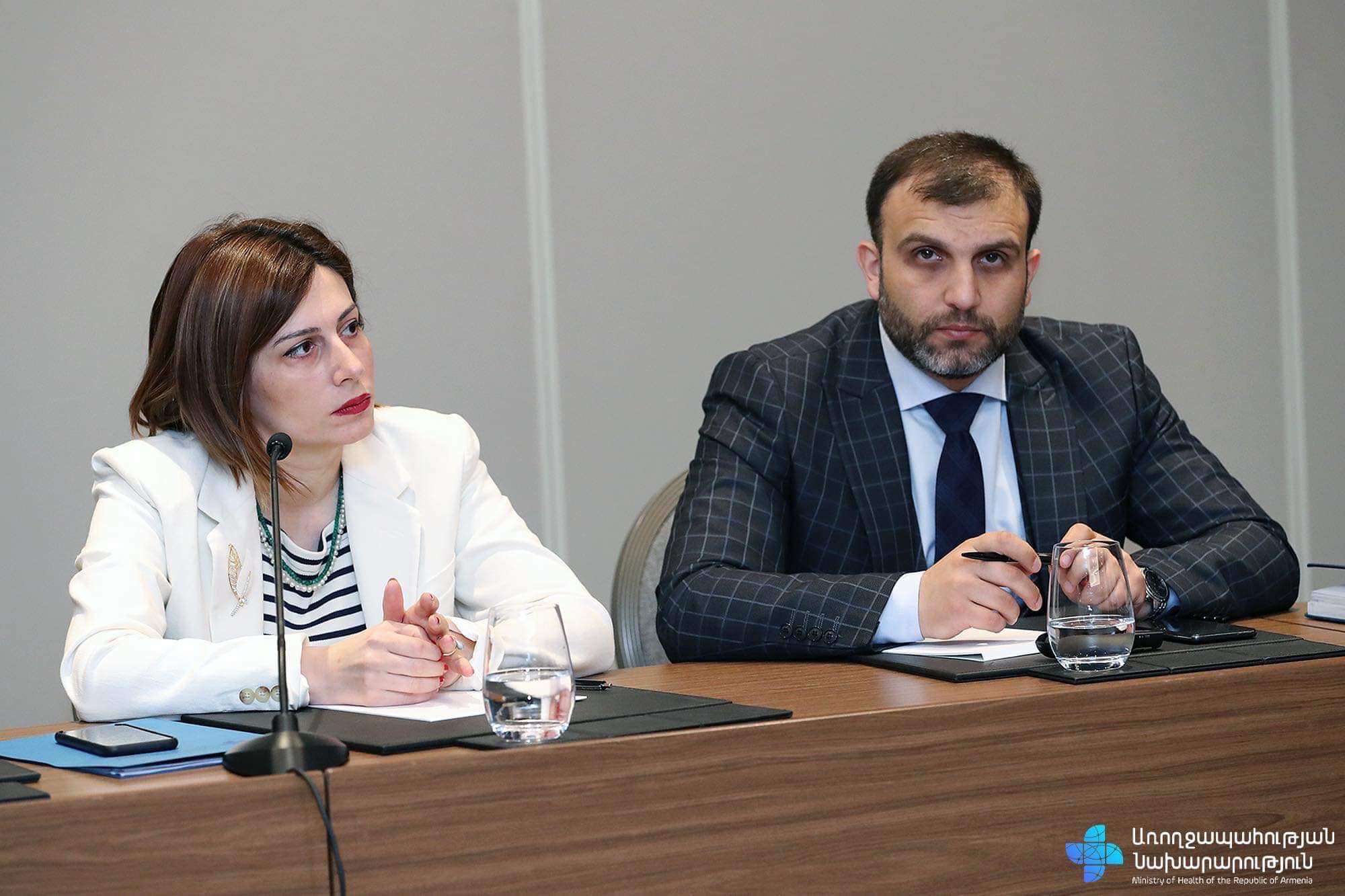 Ավանեսյանը հանդիպել է ապահովագրական ընկերությունների ներկայացուցիչների հետ