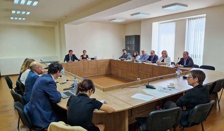 ՀՀ ԱԳ փոխնախարարն ամփոփել է ճանապարհային քարտեզի դրույթների իրագործմանն ուղղված աշխատանքները