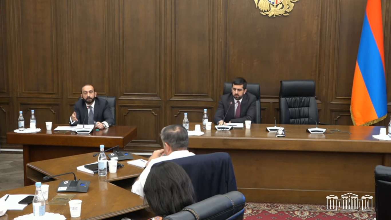 «Մենք իրավունք չունենք և հավակնություն էլ չենք ներկայացնում որոշել ԼՂ ժողովրդի կարգավիճակը». ԱԳ նախարար