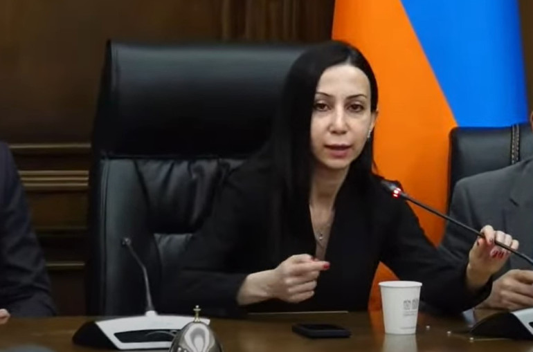 Իմ մայրը նման բառեր չի գրել և առհասարակ նման բառապաշար չունի. Կարապետյան