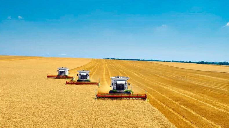 Արցախում, ովքեր հնձված ցորենի բերքը կիրացնեն ԳԳԱ հիմնադրամին, կստանան արտոնություններ