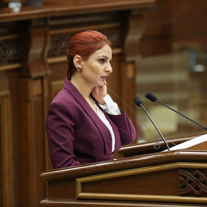 Ազգային ժողովը` որպես գործող ինստիտուցիոնալ մարմին գոյություն չունի. Սամսոնյան